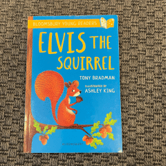 Elvis The Squirrel kitap - oyuncak