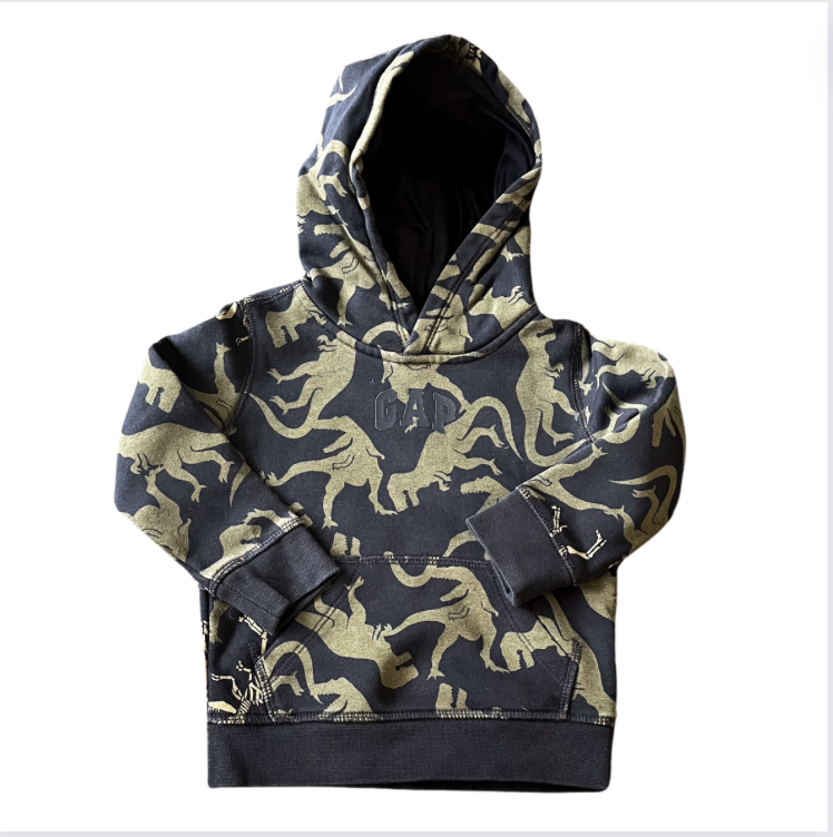 Gap Dinozorlu İçi Polar Kazak 2 yaş