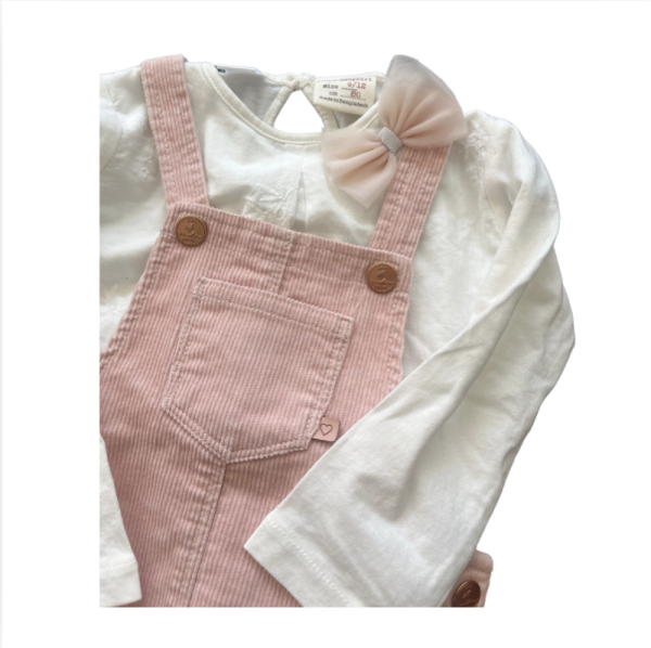 Zara Pembe Kadife elbise ve bluz takımı
