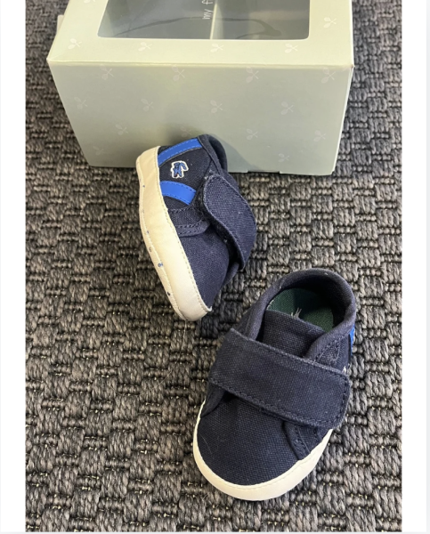 Lacoste bez ayakkabı 16 numara