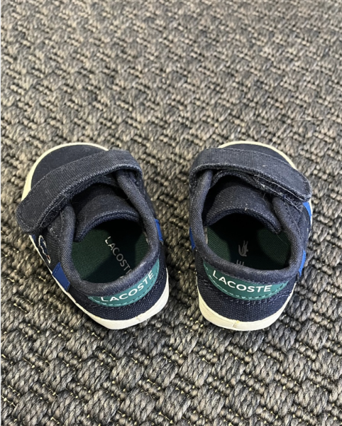 Lacoste bez ayakkabı 16 numara
