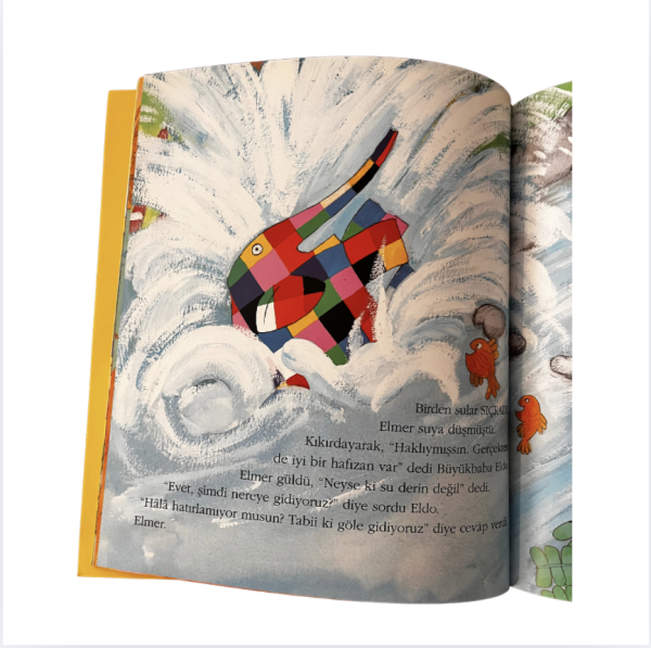 ELMER'in Özel Günü Kitap