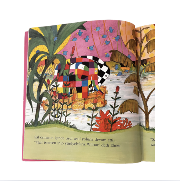 ELMER ve Balinalar Kitap