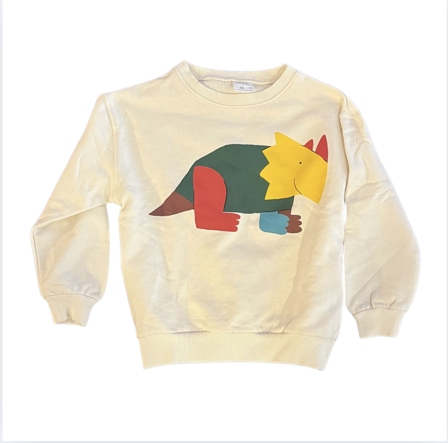 Zara Dinozorlu Sweatshirt 4 5 yaş