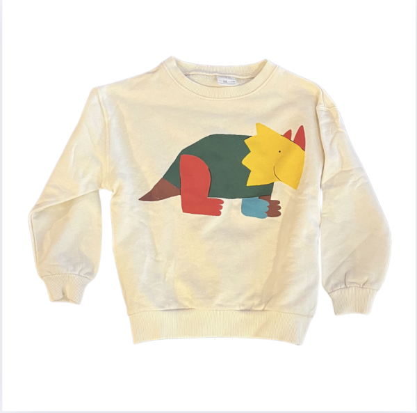 Zara Dinozorlu Sweatshirt 4 5 yaş