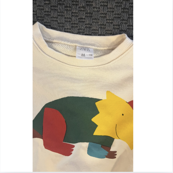 Zara Dinozorlu Sweatshirt 4 5 yaş