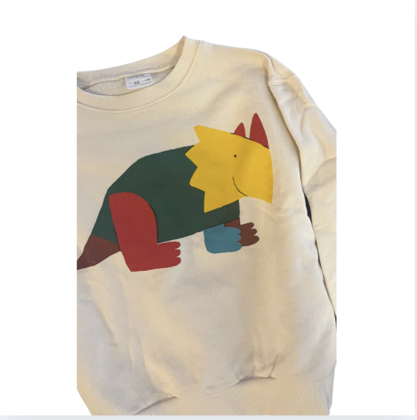 Zara Dinozorlu Sweatshirt 4 5 yaş